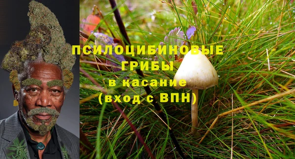 Альфа ПВП Каменка