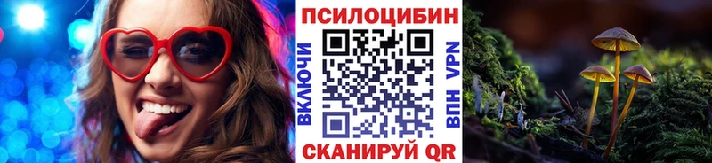 сколько стоит omg как войти Галлюциногенные грибы Magic Shrooms Валдай