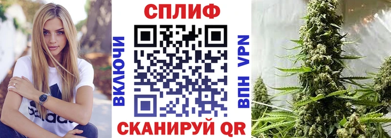 Канабис гибрид  Валдай 